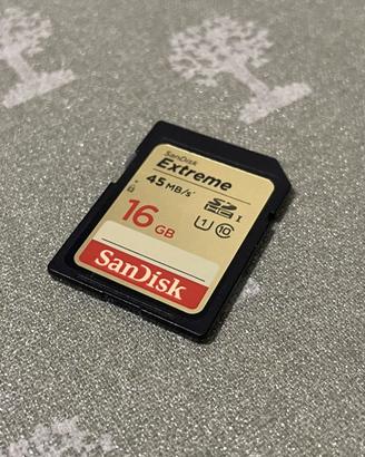 Scheda di memoria SanDisk Extrem SD HC 16GB 45MB/s