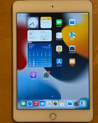 iPad Mini 4 Wi-Fi + cellular 4G