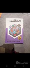 Libro minecraft 