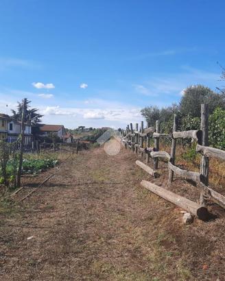 TER. AGRICOLO A ALBANO LAZIALE