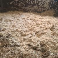 "NOVITÀ" Lettiera in truciolo e paglia