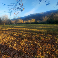Terreno agricolo in posizione panoramica