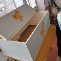 Camera calda per pulcini appena nati