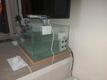 ACQUARIO NUOVO