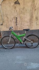 bicicletta Trattabile