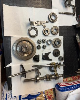 Cambio bacci innesti frontali 106/saxó