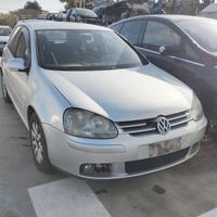 RICAMBI VOLKSWAGHEN golf 5 - MUSO PORTE #317