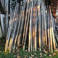 Tutori per piante in legno….