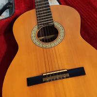 Chitarra classica 
