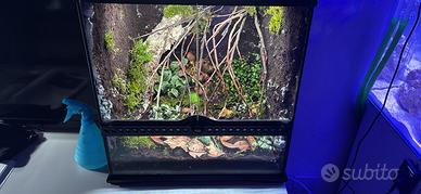 terrario 45x45x60