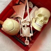 Set scheletro di Halloween