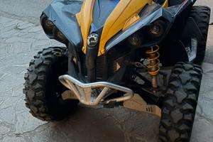 Can Am RENEGADE
