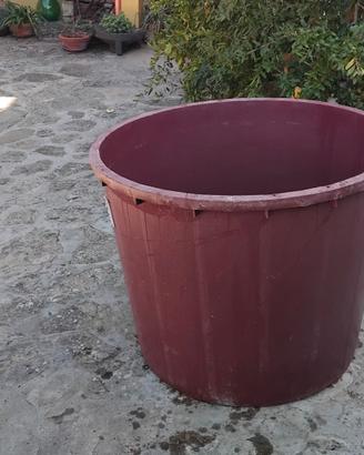 Tino da vendemmia