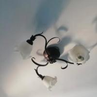 lampadario e lampade