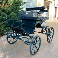 Carrozza Spider (22)