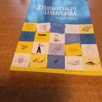 Dizionari ilustrat