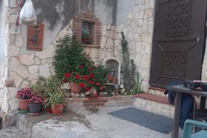 Terreno agricolo con rustico