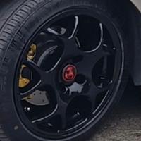 Cerchi in Lega tsw venom