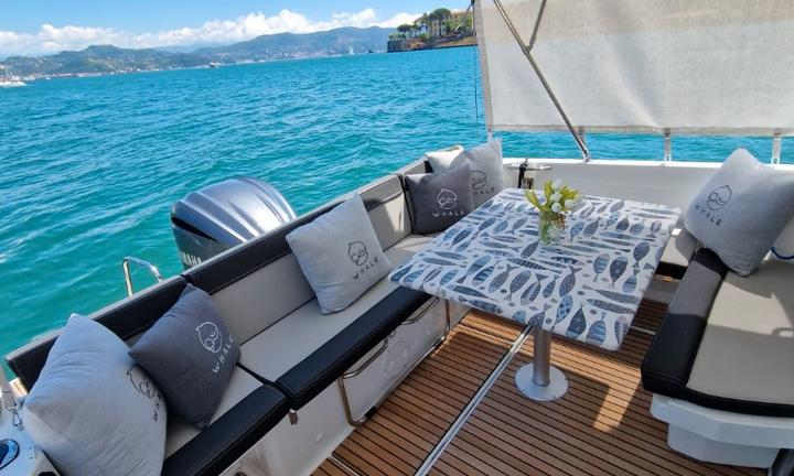 Jeanneau Merry Fisher 795 Serie 2 anno 2023