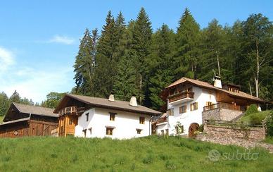 Appartamento vista Dolomiti
