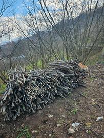 fascine di legna di nocciolo