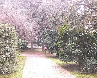 MULTILOCALE A CASSINA DE' PECCHI