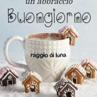 Macchina da cucire manuale