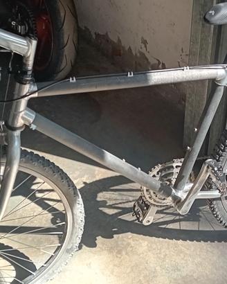 Bici MTB