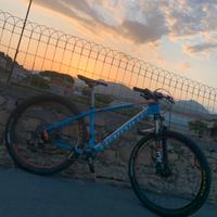 bici da cross country full carbon