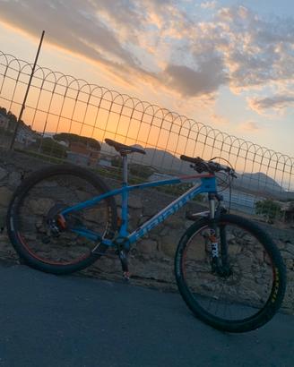 bici da cross country full carbon