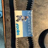 Cinghia polini per piaggio