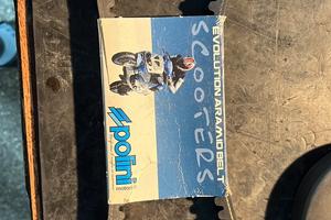 Cinghia polini per piaggio