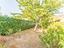 Immagine 25