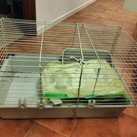 Gabbia per conigli 