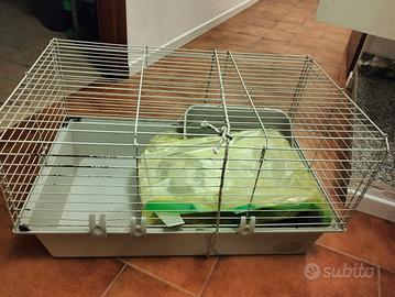 Gabbia per conigli 