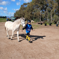 Pony femmina 10 anni