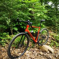 Bici Gravel Basso Tera tg L