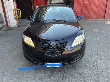 Lancia Y neopatentati