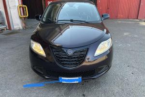 Lancia Y neopatentati