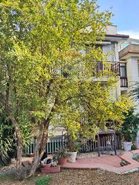 Appartamento - Catania