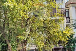 Appartamento - Catania