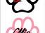 Immagine 2