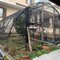 Serra 4,2x5m con telo antigrandine