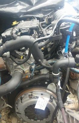 Motore Ford Ka - 2010 - 1242cc benzina - 169a400