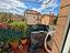 Immagine 26