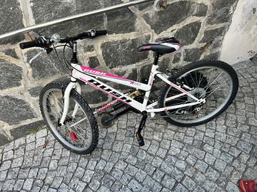bicicletta