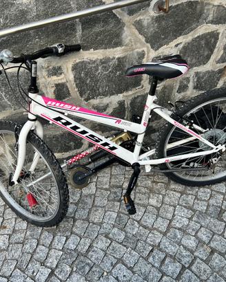 bicicletta