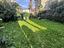 Immagine 16