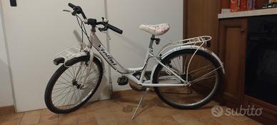 bicicletta 