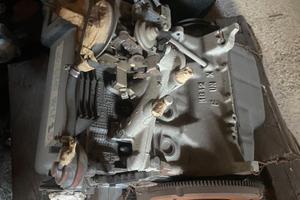 matore panda fair 1000